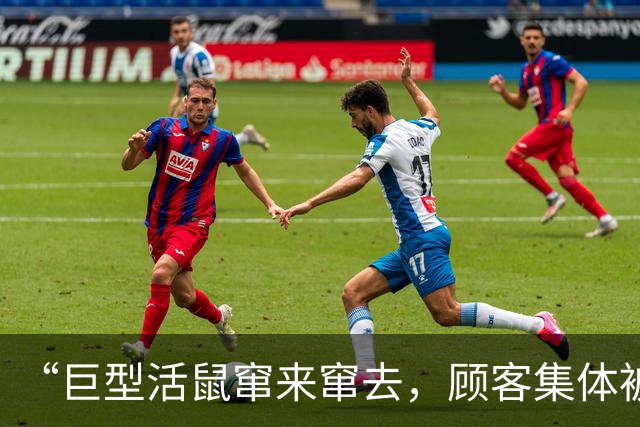 “巨型活鼠窜来窜去，顾客集体被吓到崩溃，全程反胃恶心”，寿司郎中国最新回应：全面废弃及清洗消毒相关食材、器具
