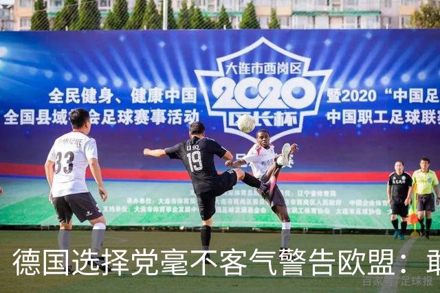 德国选择党毫不客气警告欧盟：敢拒绝我们的提议，后果将十分严重