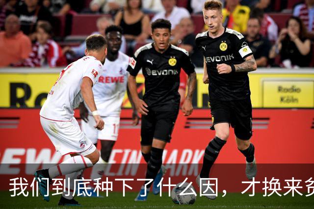 我们到底种下了什么因，才换来贫富分化、年轻人不婚不育的果？